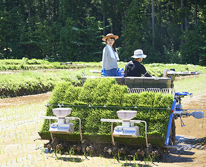 /industrias/agricultura/