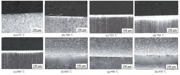 Morphology of Decarburization Layer in Experimental Steel at Different Heating Temperatures for 1 hour